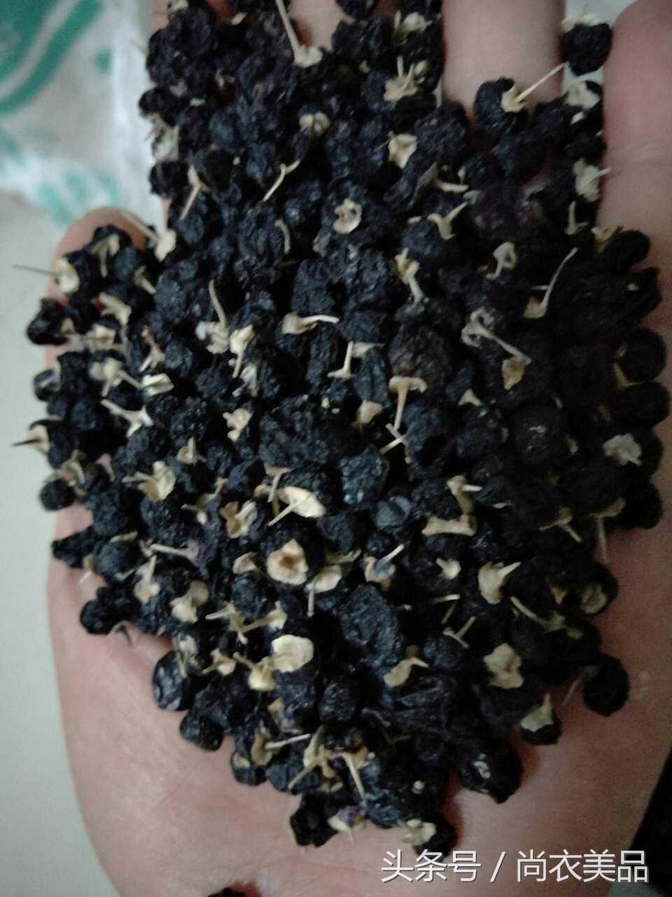 野生黑枸杞和人工种植黑枸杞,野生黑枸杞与种植黑枸杞区别