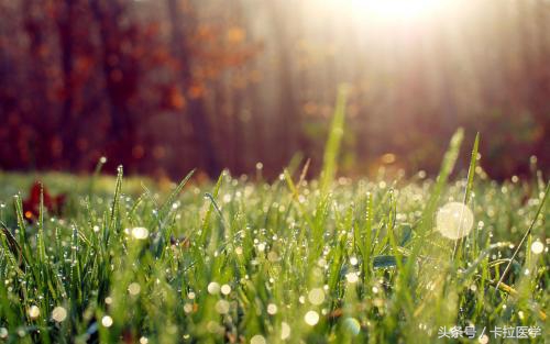 如果男朋友对你说多喝开水,如果男生跟你说多喝热水