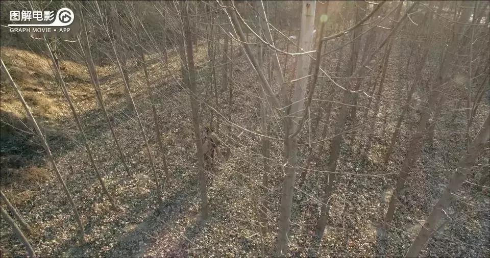 无心法师第一部免费版合集,无心法师第1部