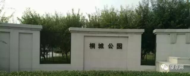 厚积薄发银杏,望京公园和大望京公园哪个好