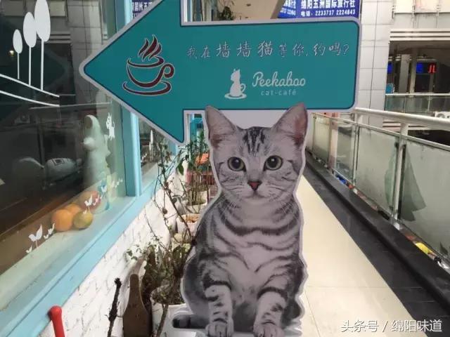 满足你的全部少女心,满足你所有少女心