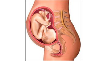 孕晚期妈妈这些腹痛你分得清楚吗？