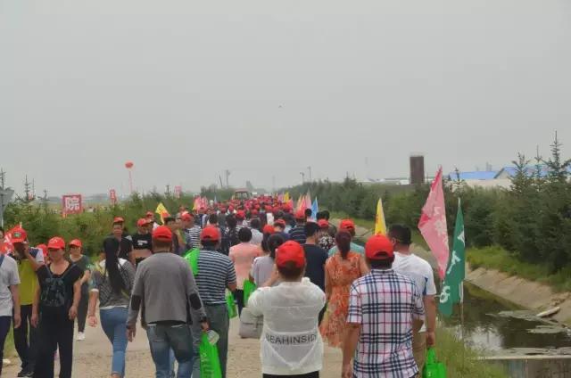 普田农科院科技园区精品展示陆地最强产量为王、普田莲育1496