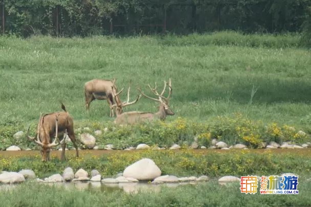 京城最大郊野公园，不仅免费，还藏了好多不为人知的秘密！