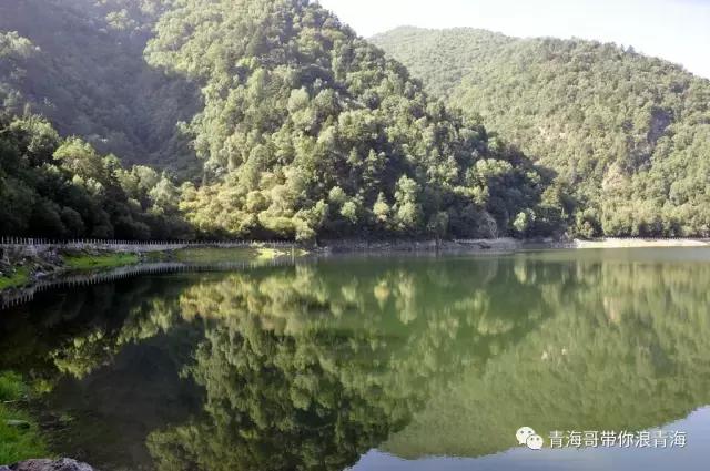 青海孟达天池门票多少,青海孟达天池景区全图