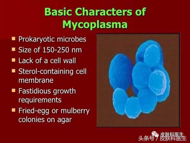 生殖支原体感染途径有哪些,男性生殖支原体感染治疗方案