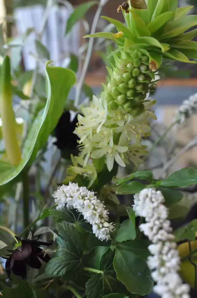 七夕第一次去花店买花应该怎么做,花店七夕节怎么卖花