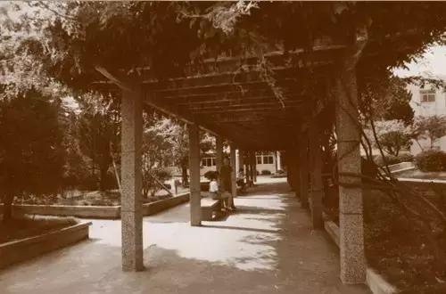 全世界都不能小看昆山，因为他们都来了！