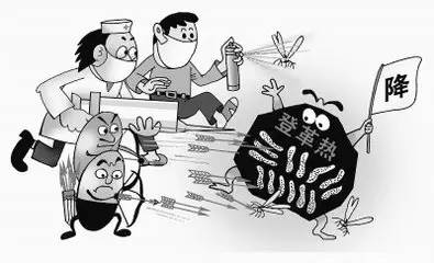 宝宝被蚊子叮咬感染登革热,这几天仅杭州地区就爆发100多病例