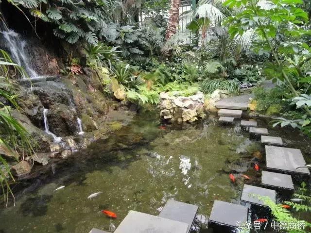 德国法兰克福机场购物攻略,德国法兰克福有几个机场