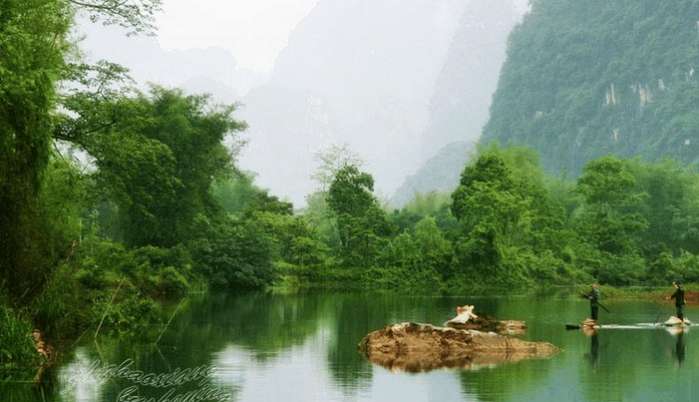 误入世外桃源遭歹人陷害，凤凰浴火重生助其保命