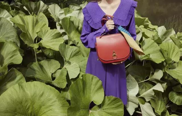 入秋包包推荐美包分享,秋冬实用的高颜值包包分享合集