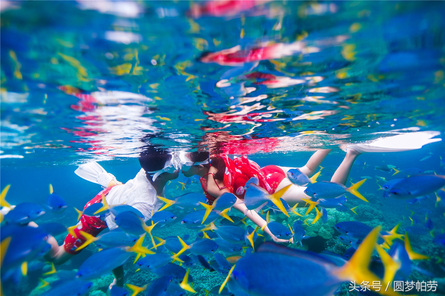 去帕劳旅游自由行行程,帕劳旅游景区行程