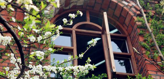 四川旅游学院4a风景区,四川国际标榜职业学院3a景区