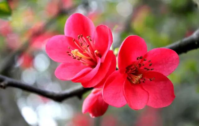 惊！陈武帝宫居然八月梅开