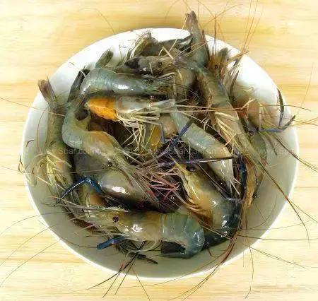 羊口开海！倒计时一天！第一网吃起来！看完哈喇子流一地