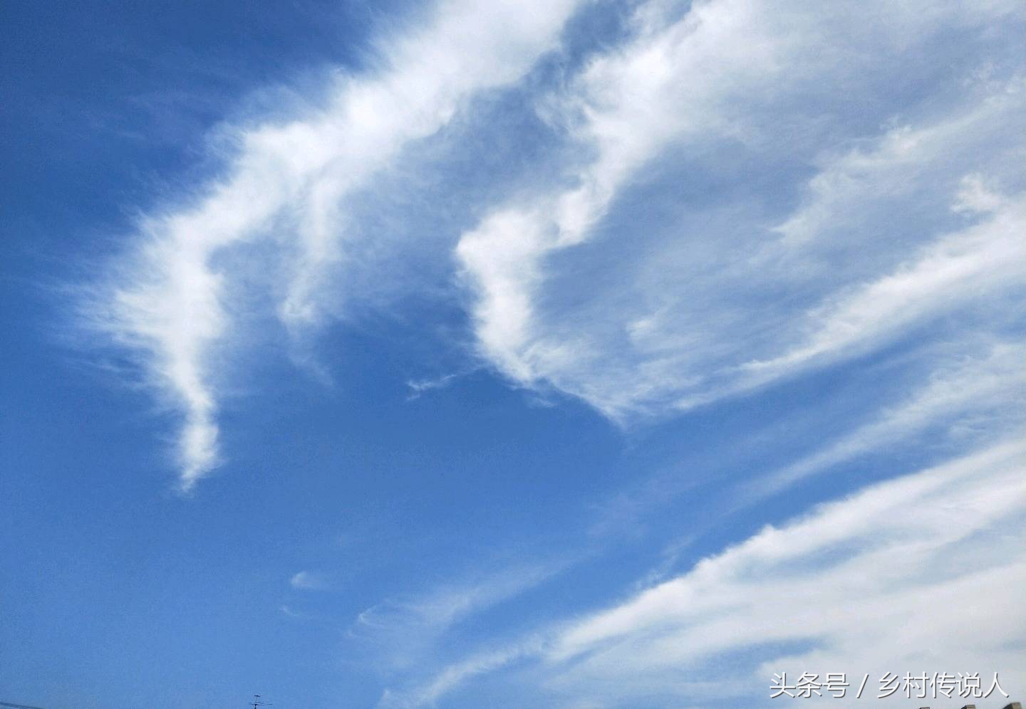 「老百姓传说」一个电话