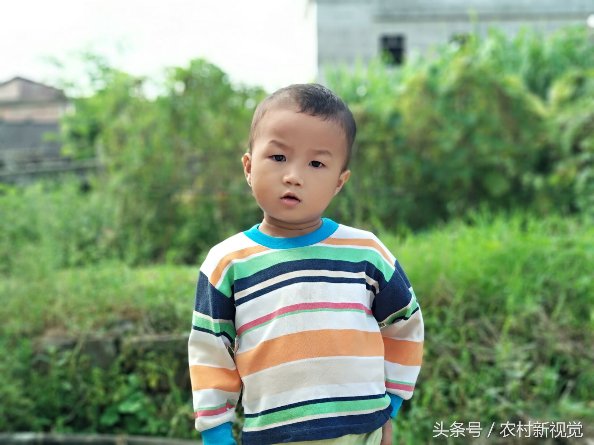 小米5x处理器,小米5x用什么测性能