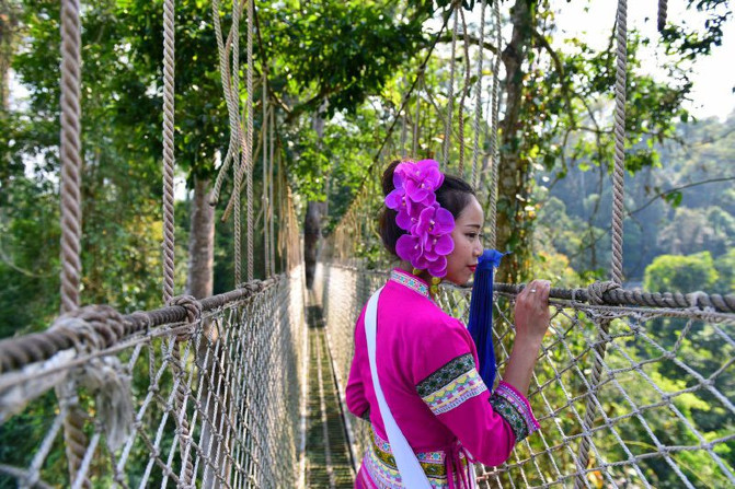 去西双版纳旅游吃住行攻略,去西双版纳旅行自由行攻略