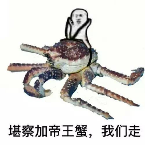 腿上长了这种包千万别瞎挤，小心猝死找上你！