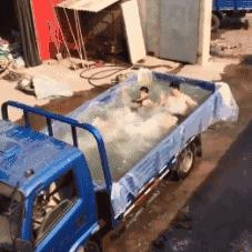 每日逗你一乐：今天我终于见到秋名山车神了