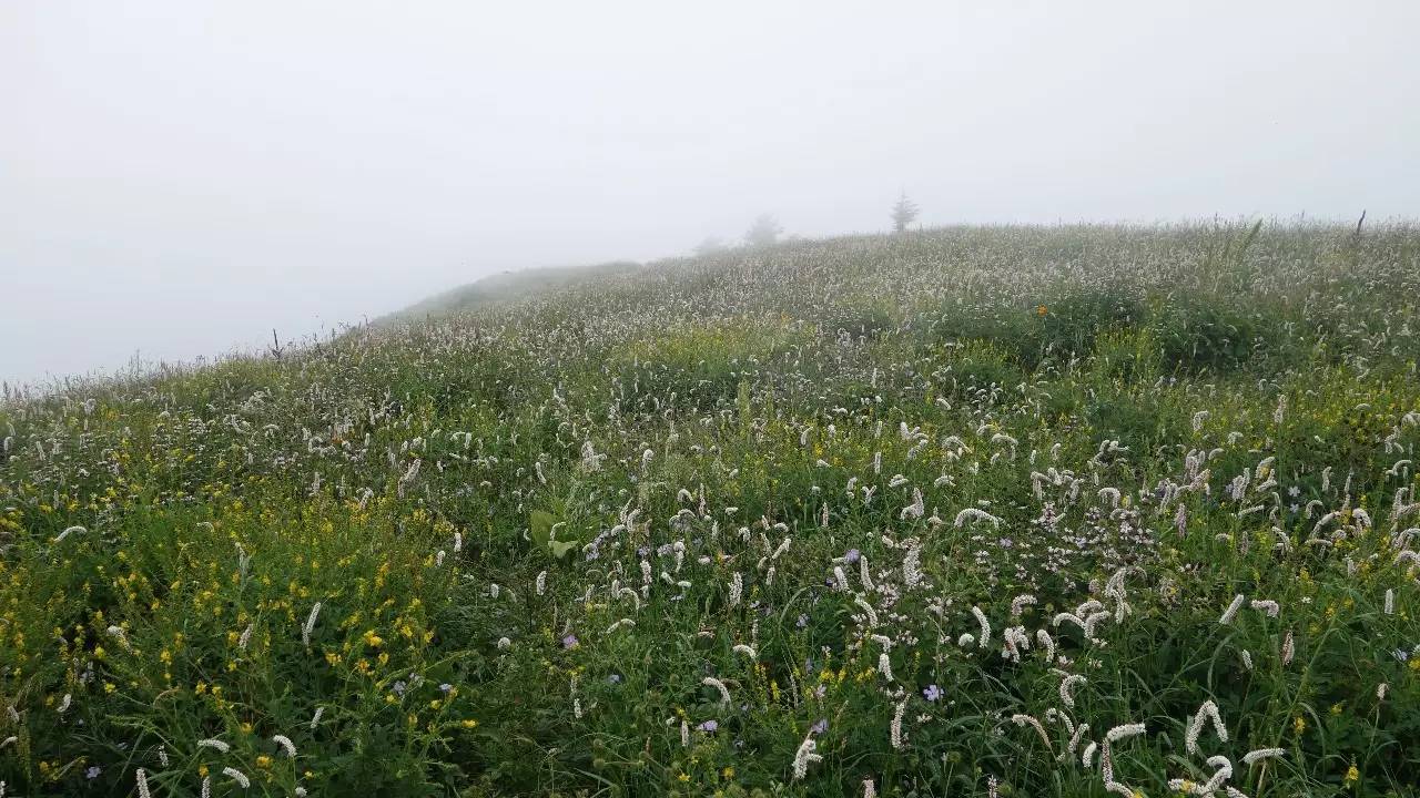 驼梁在石家庄什么地方,石家庄驼梁在石家庄的什么位置
