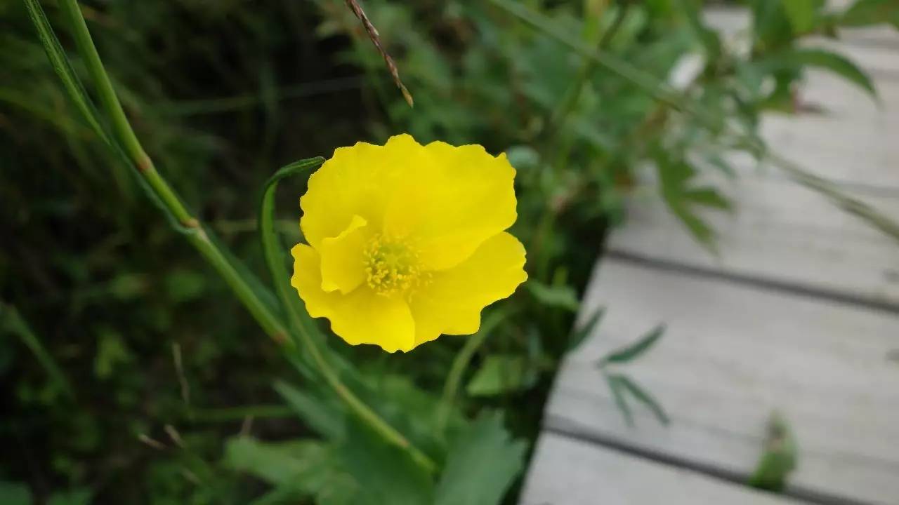 驼梁在石家庄什么地方,石家庄驼梁在石家庄的什么位置