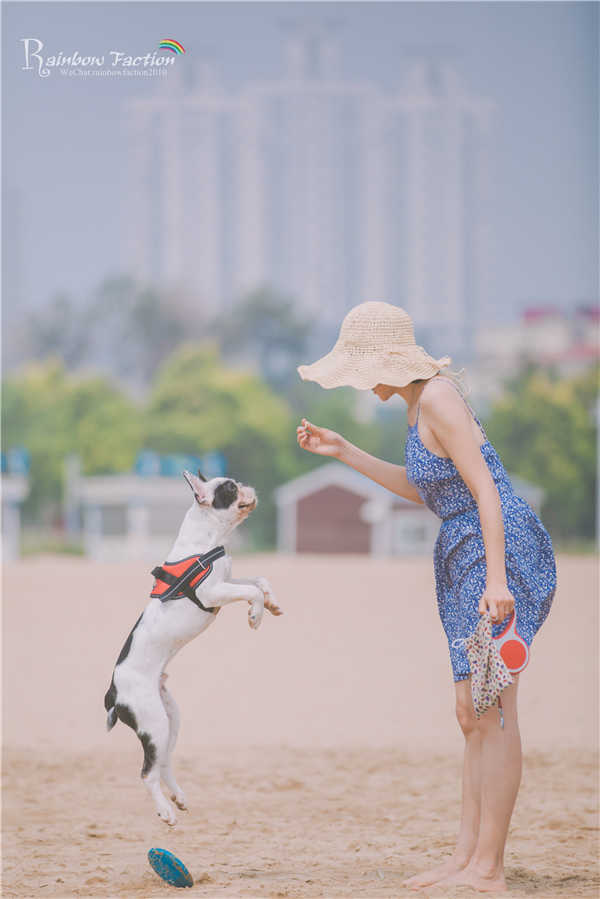 带着狗狗去旅行秦皇岛,带着狗狗旅居