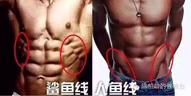 人鱼线马甲线可以同时存在吗,人鱼线马甲线分别是什么样子的