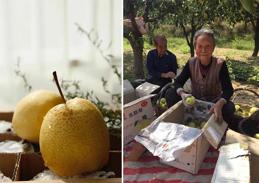 大学生回村创业有哪些好项目,大学生深山创业致富