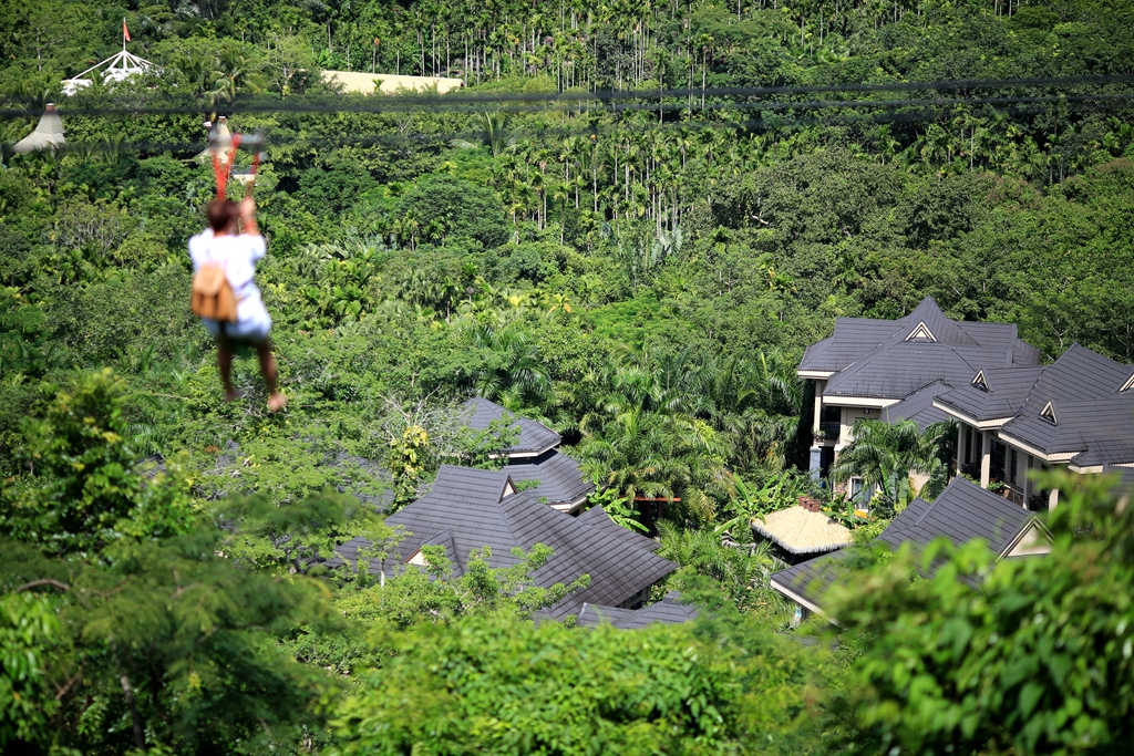 何必去南美，呀诺达热带雨林就有无数宝藏