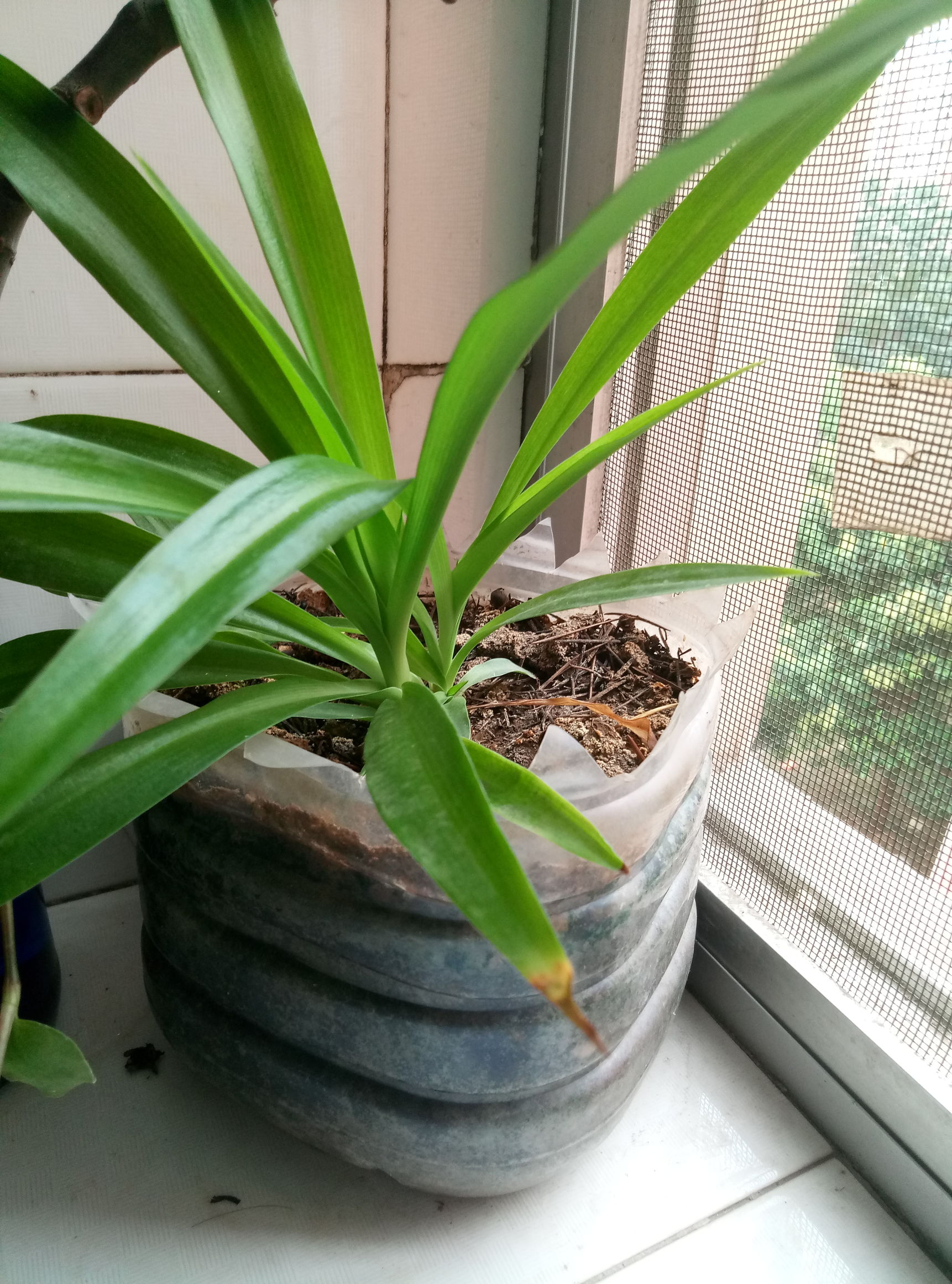 花器制作篇,用什么来制作花器