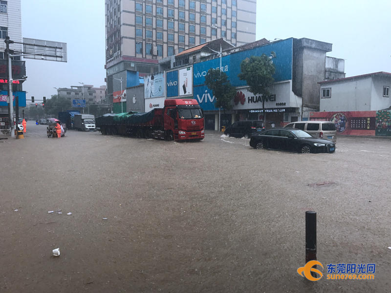 东莞海滩必备泳衣,东莞海边最新消息