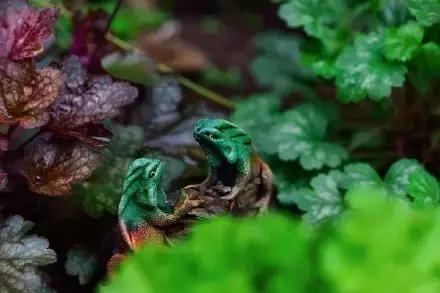 好吃又好看的打卡地,重庆小众婚纱拍照地