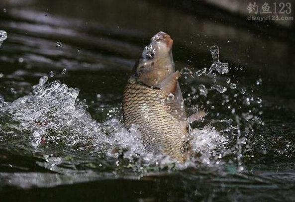 全国排名前十的东北硬菜，原来是靠这10种农产品成名的！