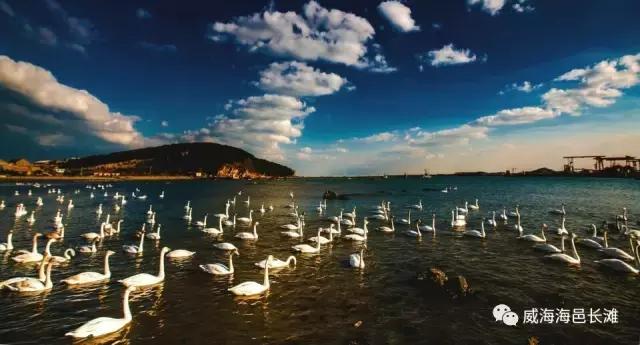 您好，您有一封来自荣成的邀请函，请注意查收！