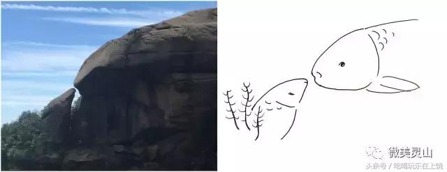 跨越南半球为你而来,为你而来跨越时空