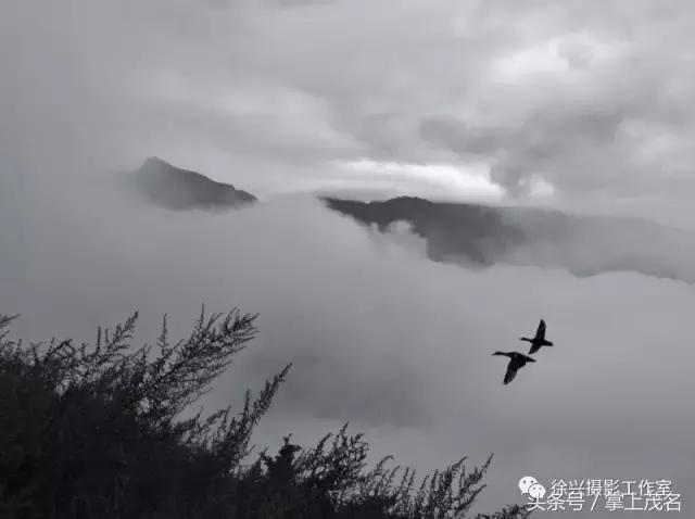 手机摄影田园生活图片,手机摄影主题