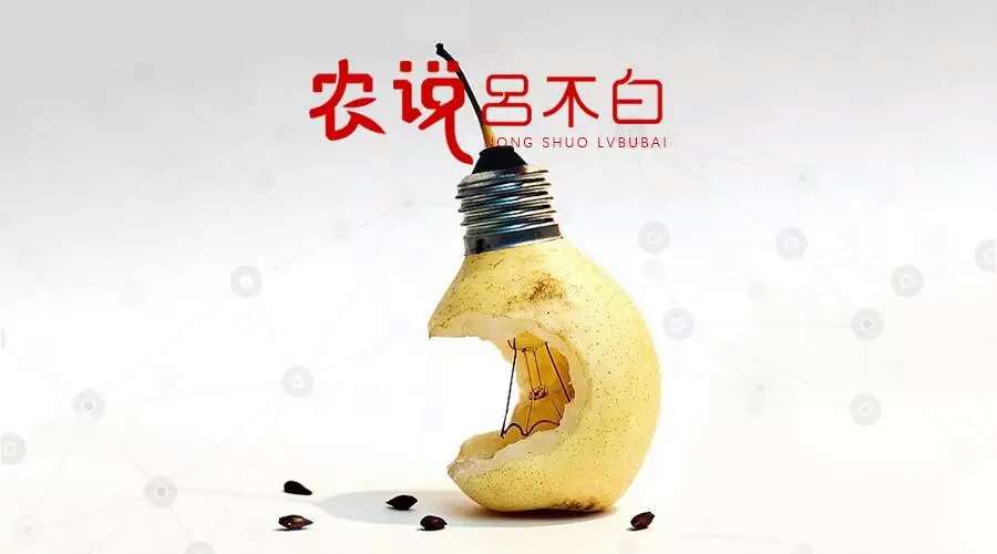 大学生回村创业有哪些好项目,大学生深山创业致富