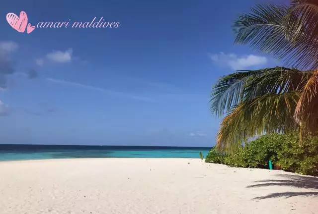 马尔代夫真的值得去吗,去马尔代夫的真实感受