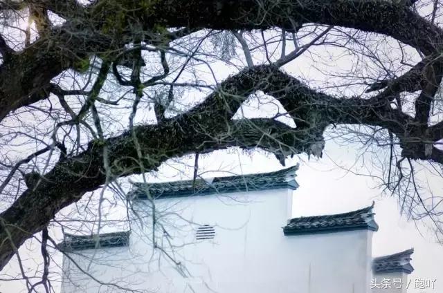 神秘北纬30度在皖南,皖南川藏线北纬30度