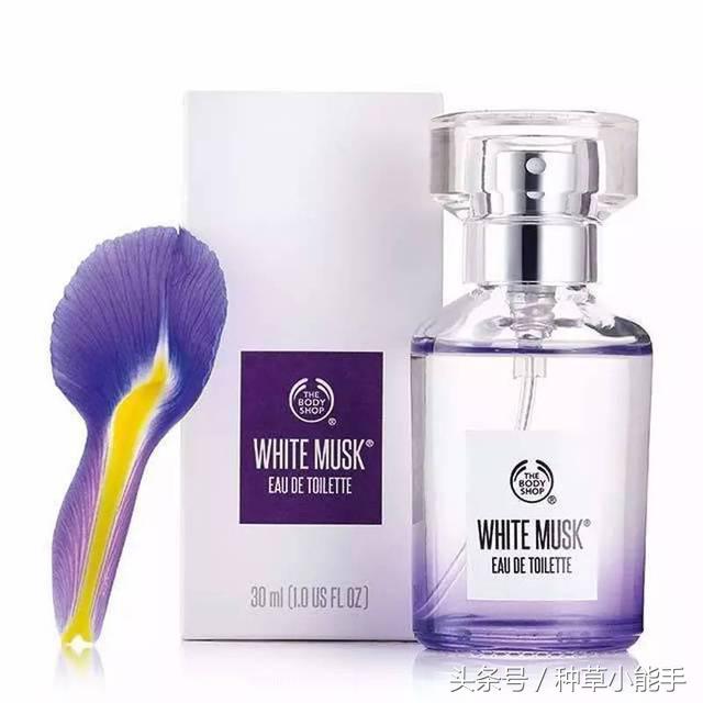 五款好用却便宜的国货香水,适合女生春天使用的香水小众平价