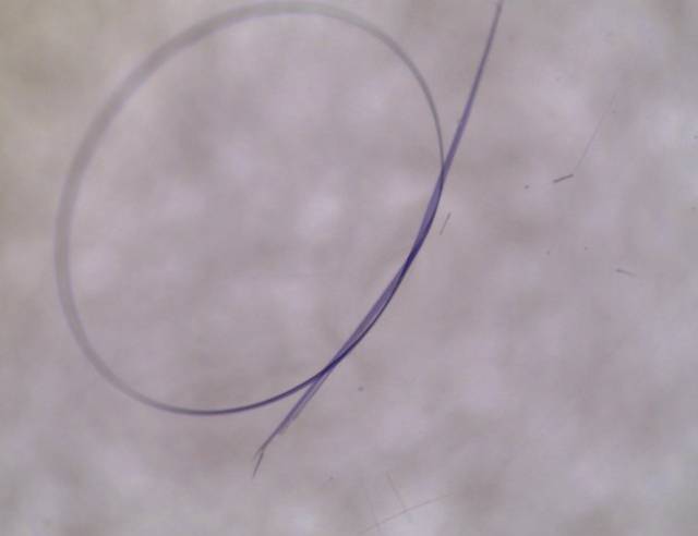 在什么情况下石头会变成晶体,石头要多久能变成晶体