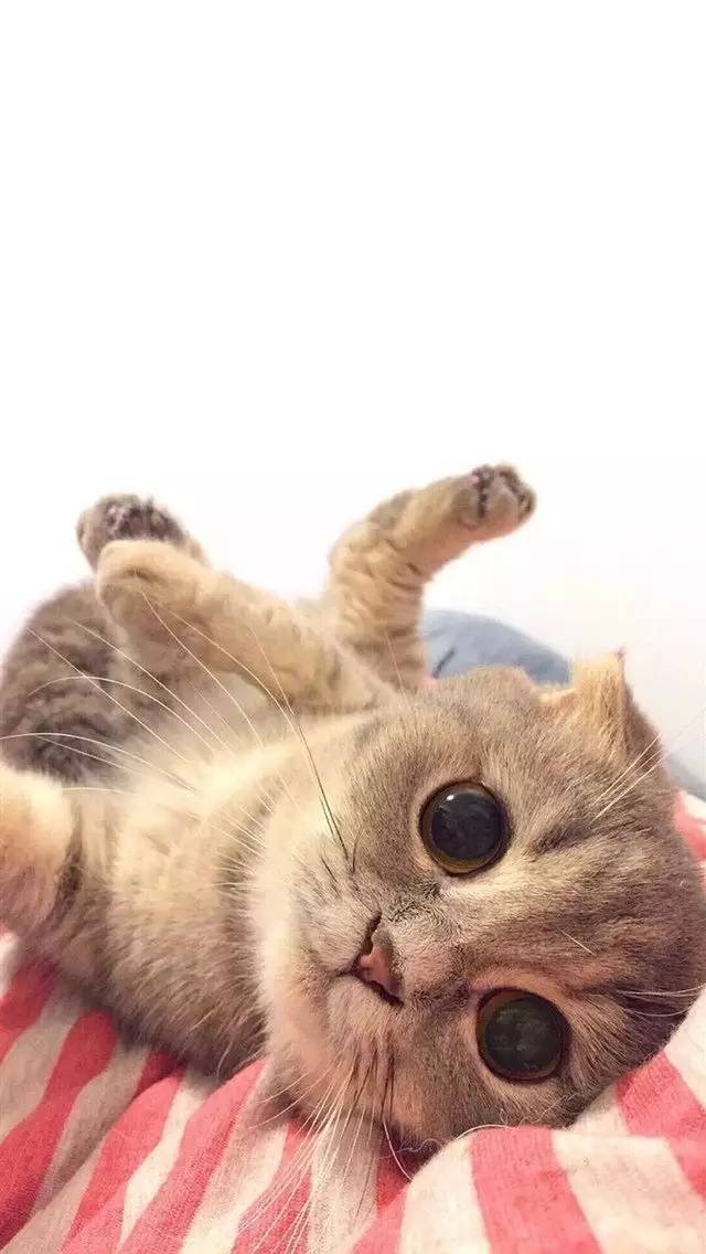 平价面膜敷出大牌效果,如何将面膜敷得服帖