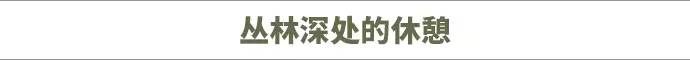 150年后，再次追寻「森林王子」的足迹