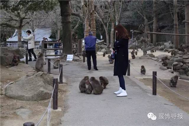 美翻天!时尚达人の日本旅行穿搭记录