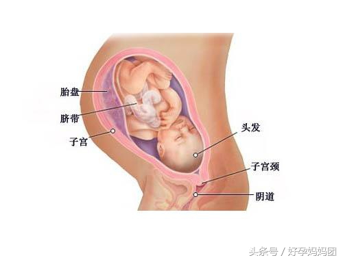 孕期孕妇最需要的是老公的关心,怀孕妈妈测试孩子