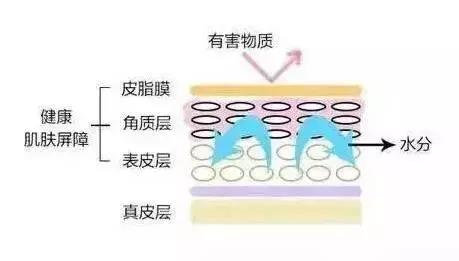 护肤老司机,十大坑人护肤流言