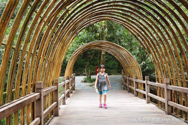 重庆最美黑山谷景区,重庆万盛黑山谷旅游如何