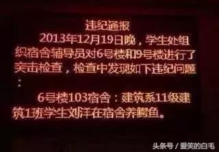 上课脱Bra……你的室友做过哪些惊为天人的事？